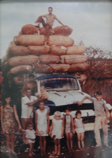 No alto da foto, Vady Preciso produtor de algodão anos 60 No alto da foto, Vady Preciso produtor de algodão anos 60