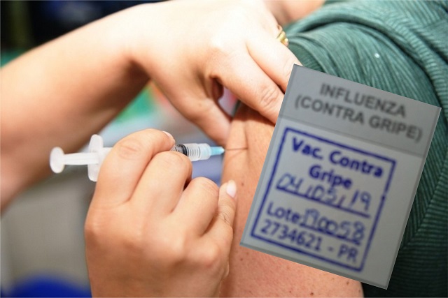 Imagem: Dia D da vacinação contra a gripe | Reprodução Imagem: Dia D da vacinação contra a gripe | Reprodução