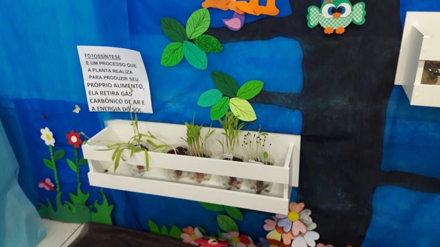 Imagem: Projeto Biodiversidade Escola Municipal Julia Alves Soares | noticiasdejussara.com.br Imagem: Projeto Biodiversidade Escola Municipal Julia Alves Soares | noticiasdejussara.com.br