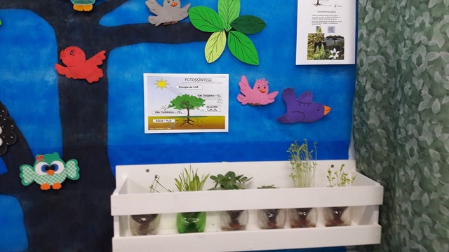 Imagem: Projeto Biodiversidade Escola Municipal Julia Alves Soares | noticiasdejussara.com.br Imagem: Projeto Biodiversidade Escola Municipal Julia Alves Soares | noticiasdejussara.com.br